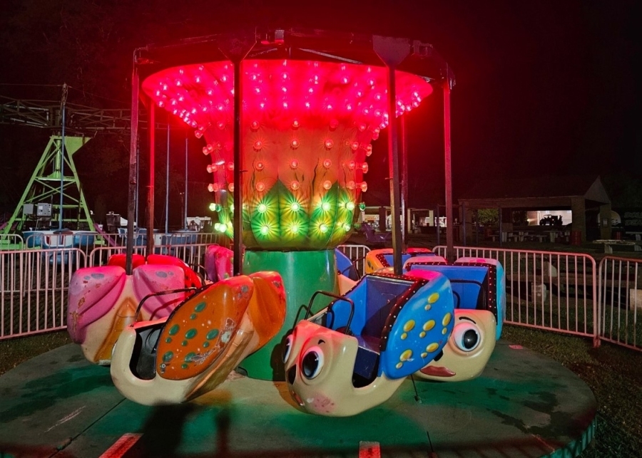 Bug Kiddie Ride Trailer Mounted