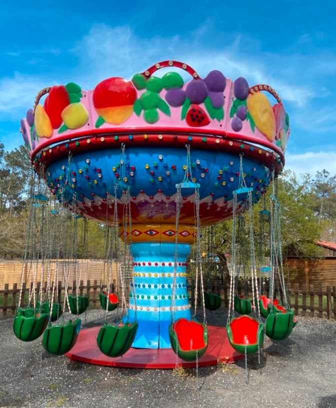 Pouss Pouss année 2019