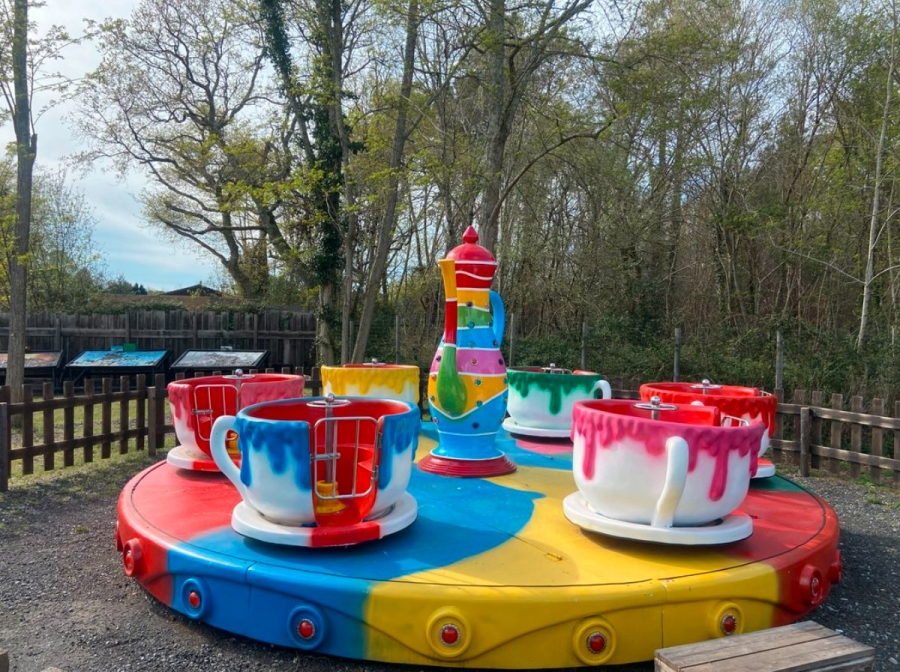 Manège tasses