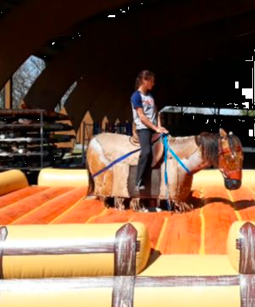 Taureau mécanique (cheval)